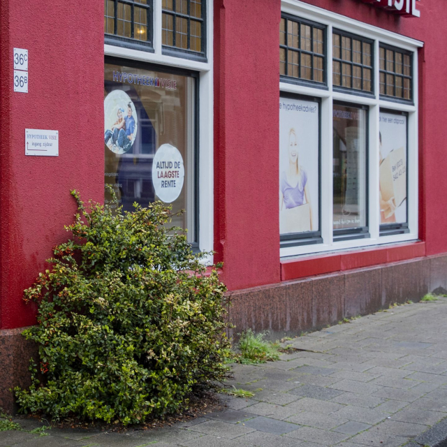 Hypotheek Visie Haarlem
